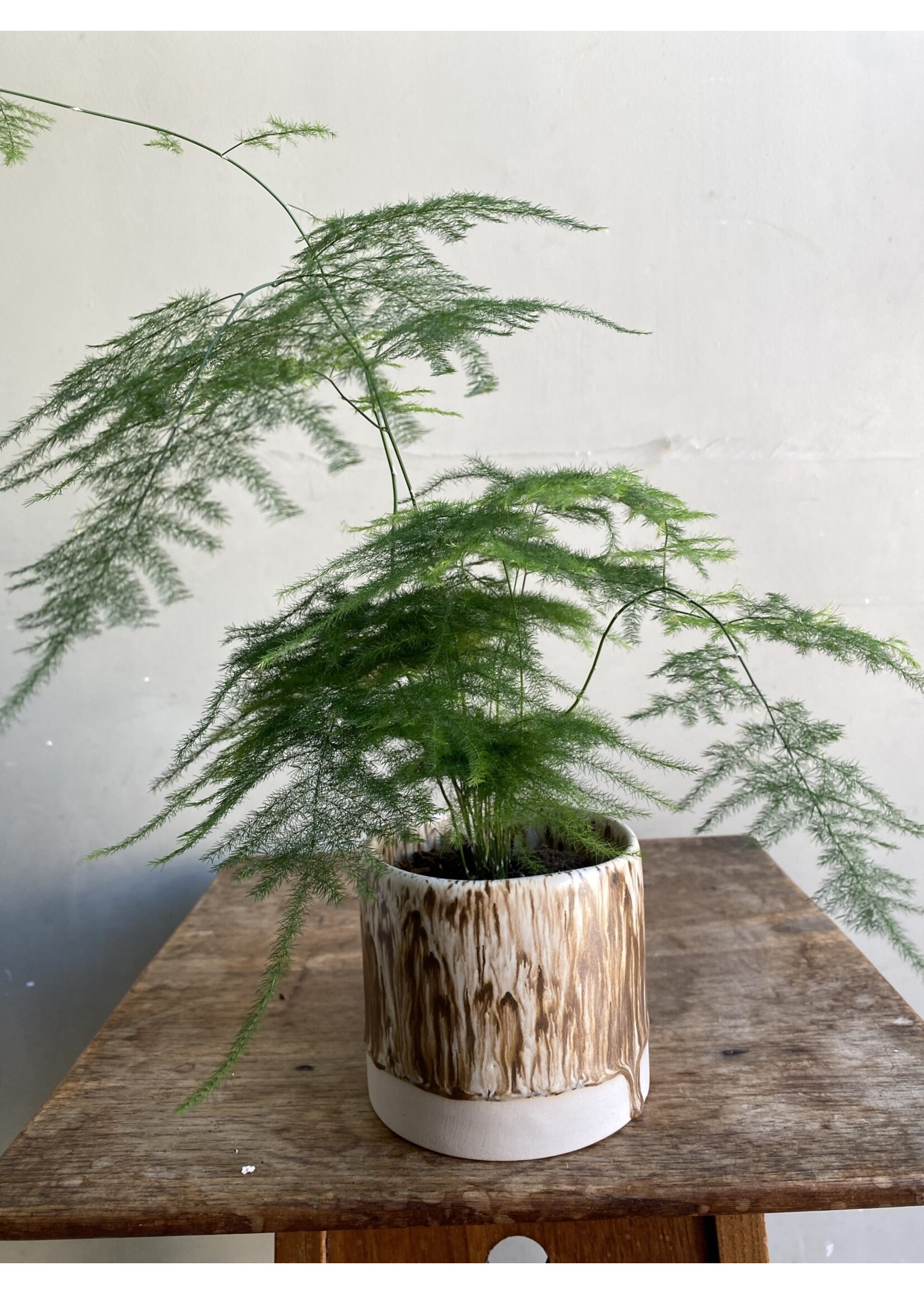 Biskui Biskui x GRUUN - Augusta - Large vase & plant pot - Winterwood