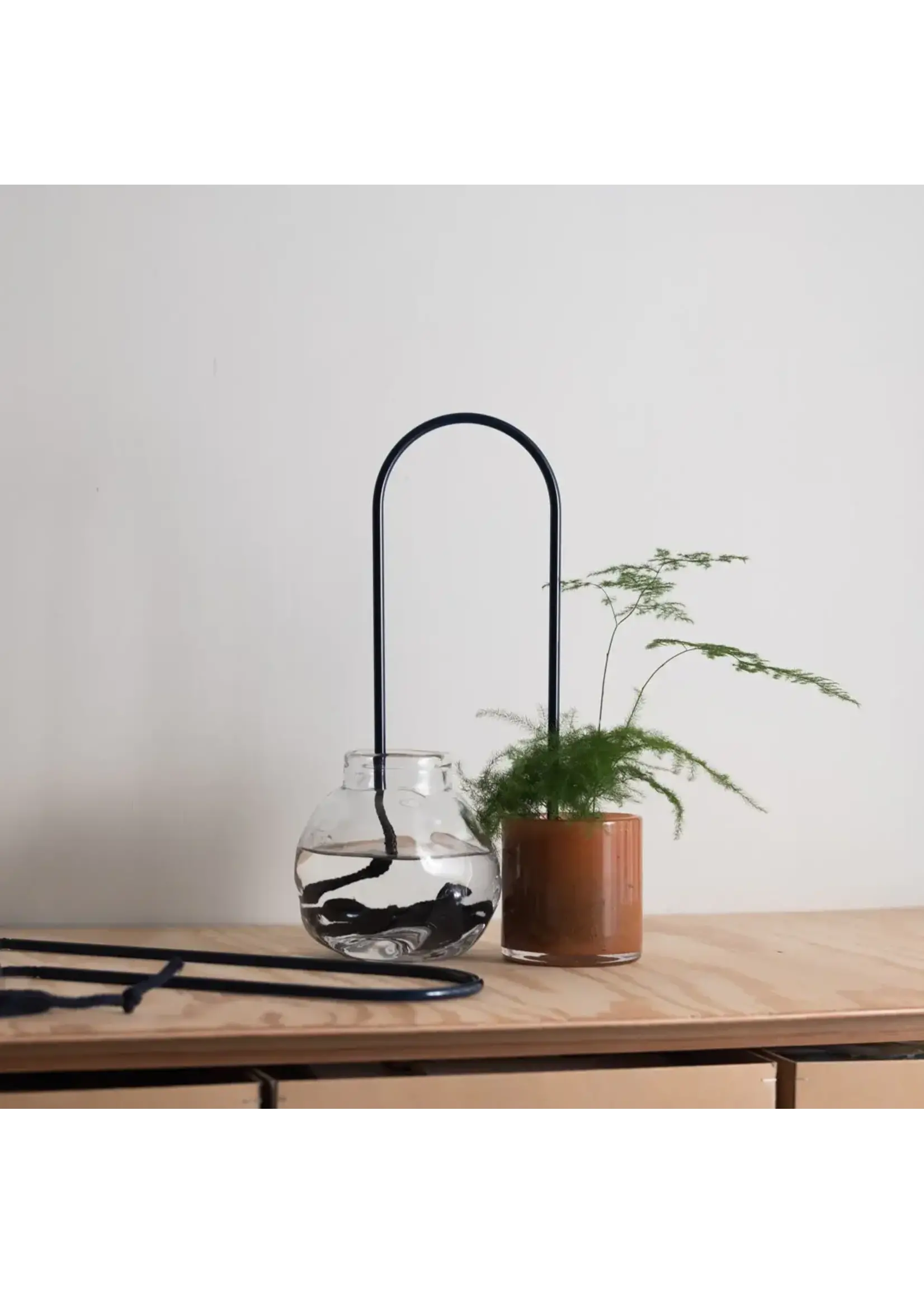 Plantstraws Plant Straws S 20cm -Midnight Blue