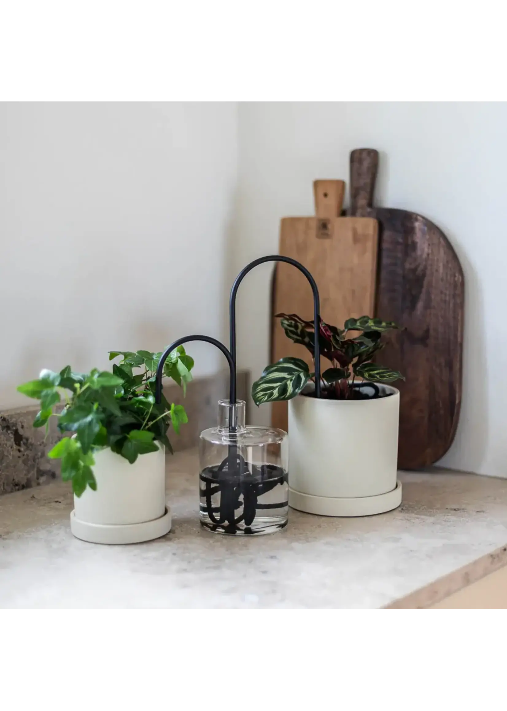 Plantstraws Plant Straws S 20cm - Black