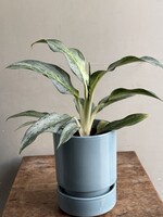 Hoff pot + saucer Ø13 - Misty Blue