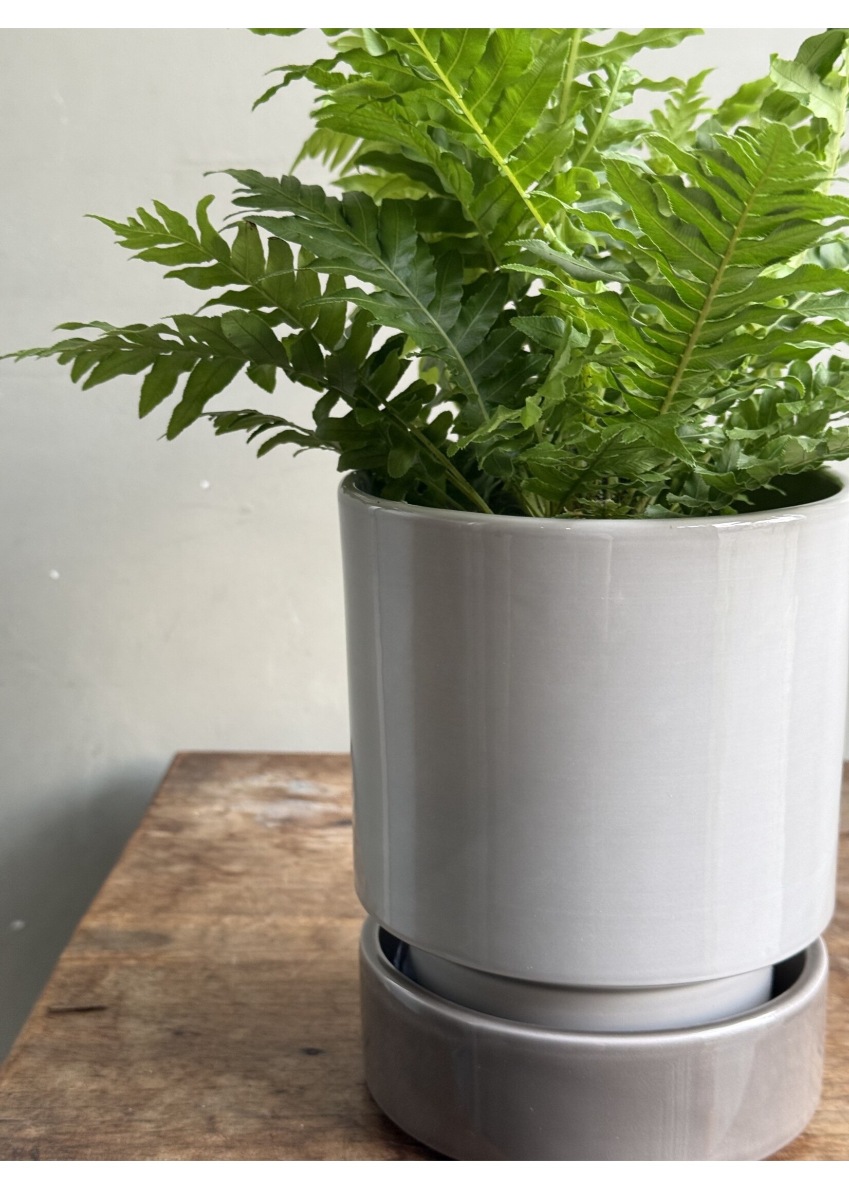 Hoff pot + saucer Ø13 - Pearl Grey