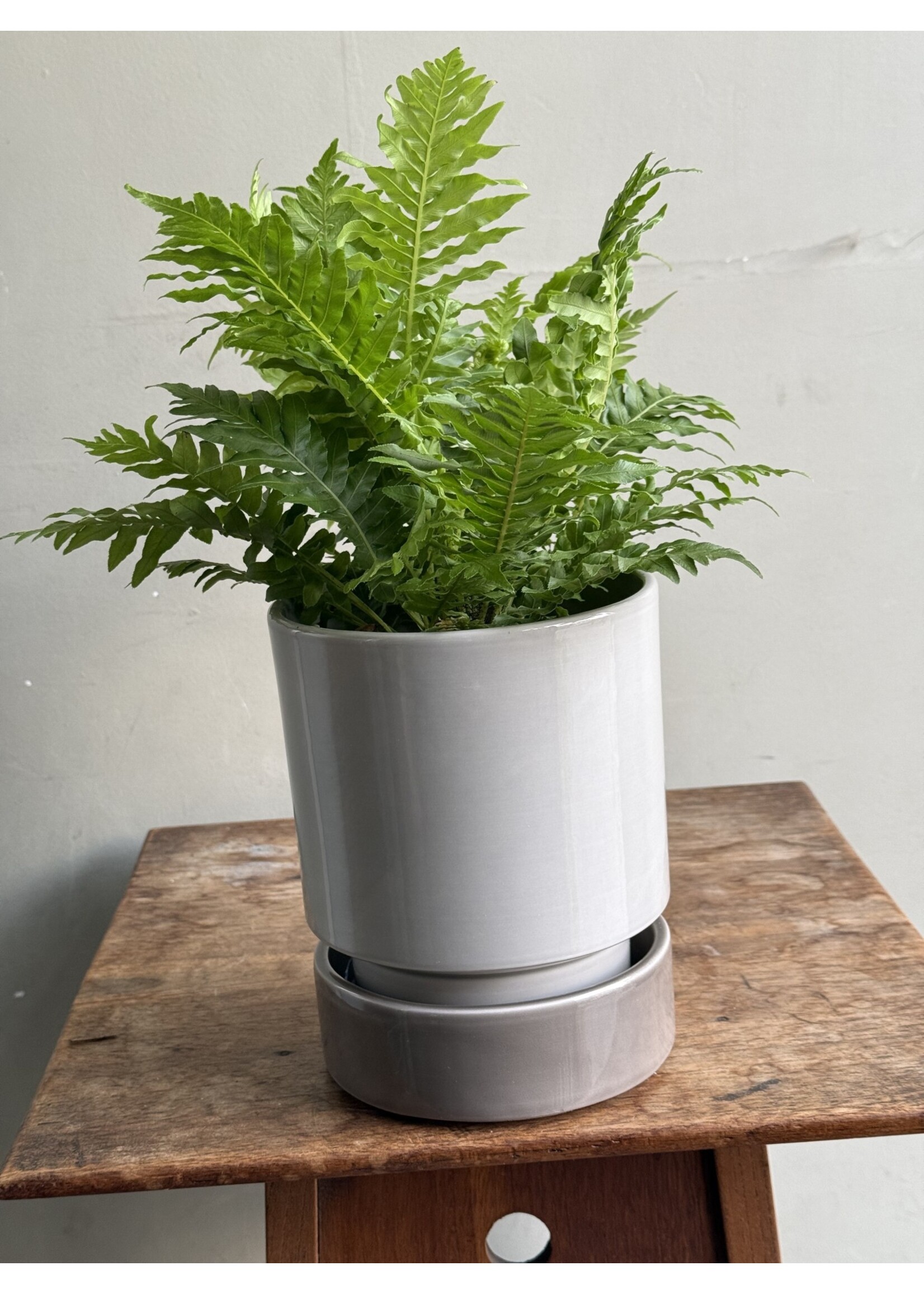 Hoff pot + saucer Ø13 - Pearl Grey