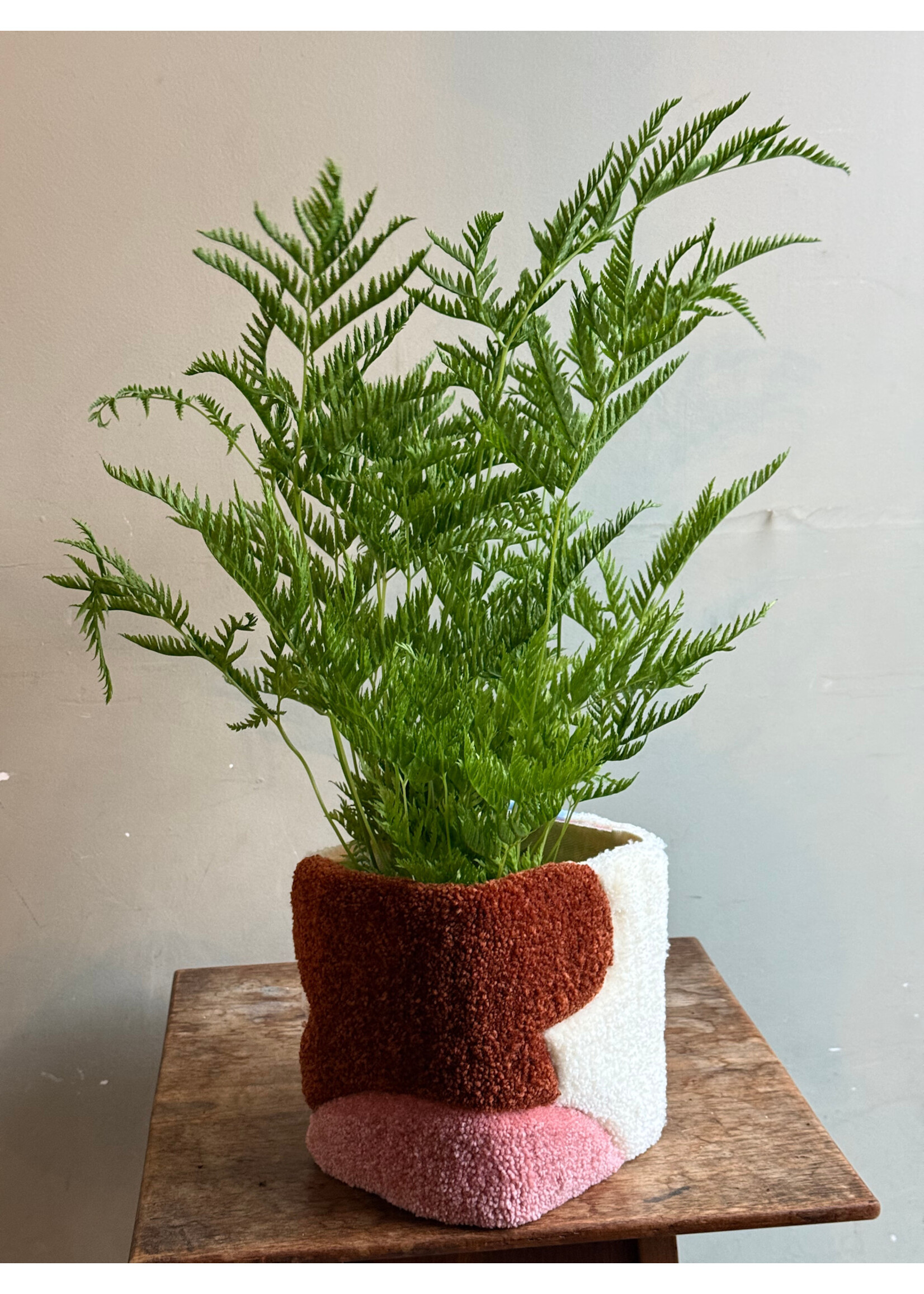 Sabibiche Sabibiche x GRUUN - Tufted cache-pot - H - Ø14