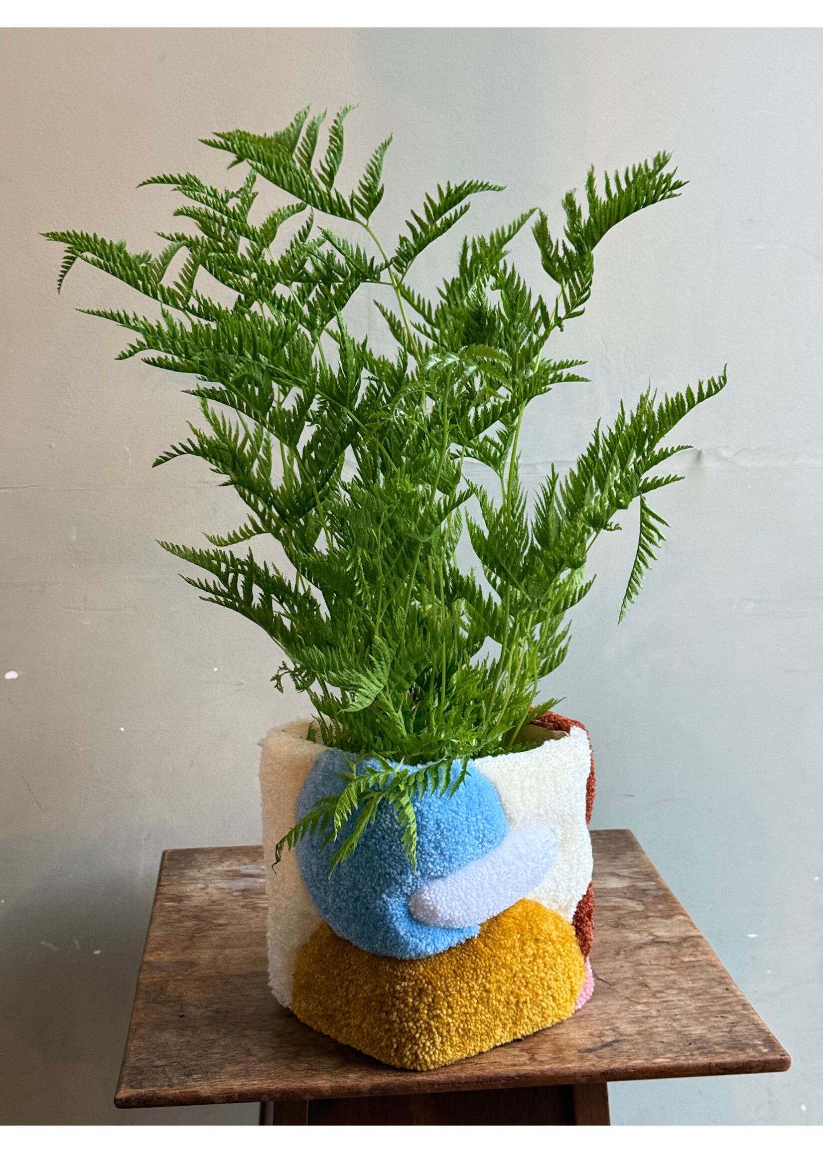Sabibiche Sabibiche x GRUUN - Tufted cache-pot - H - Ø14