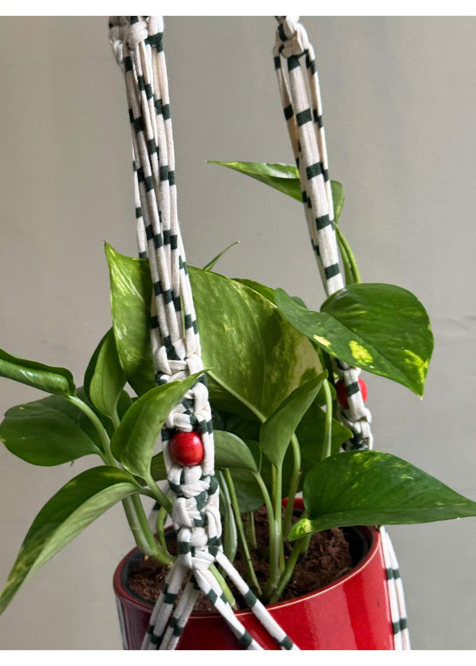 naamleaus Macramé planthanger - naamleaus - Recycled cotton 4
