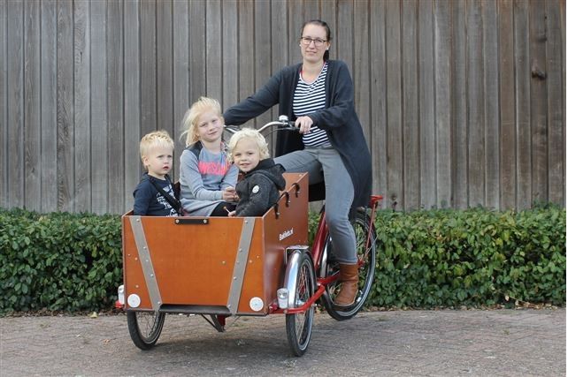 1,5mm en 1mm Luik voor Trike Bakfiets.nl