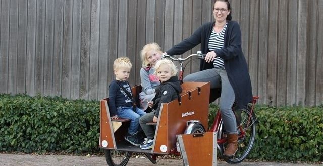 Bakfiets en ligfiets onderdelen