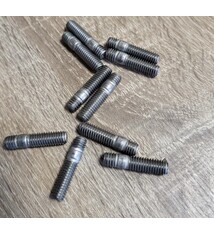 BEV TE M6x20; 10x Tapeinden M6x20 RVS