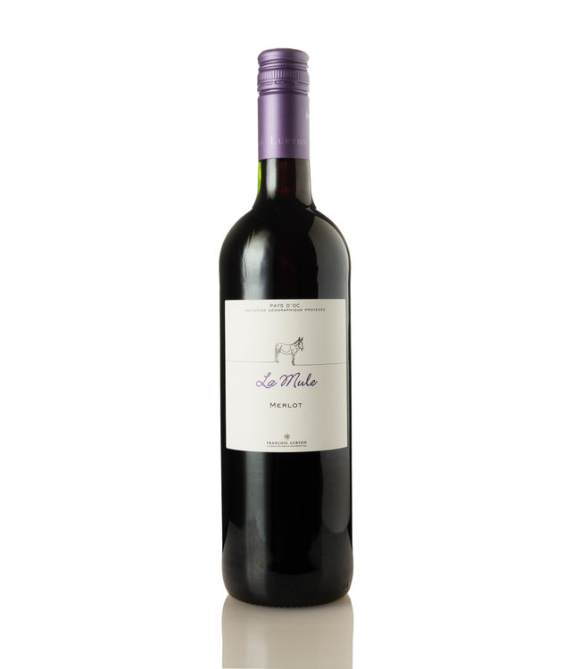 MJ Janeil La mule rood