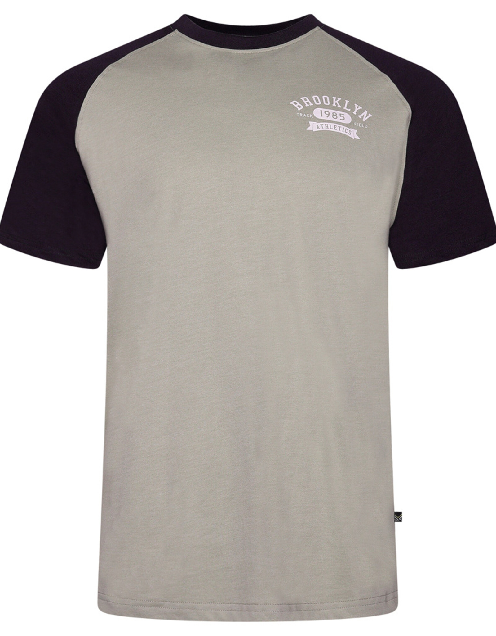 Kam Jeans T-SHIRT stone en  print "Brooklyn" op borst