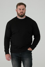 D-555 Basic  SWEATER SWEAT-D555