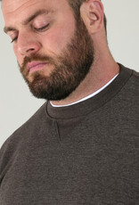 D-555 Basic  SWEATER SWEAT-D555