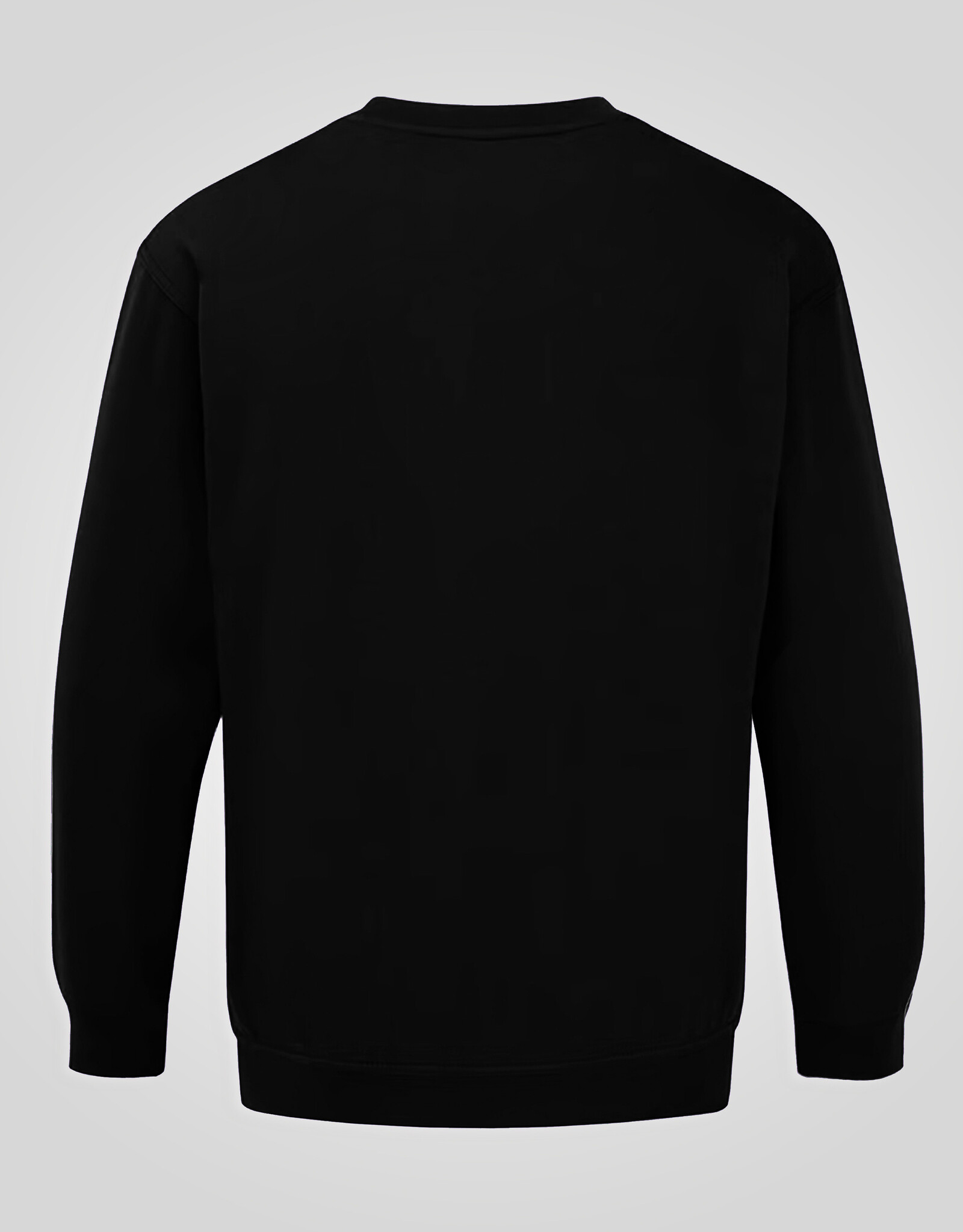 D-555 Basic  SWEATER SWEAT-D555