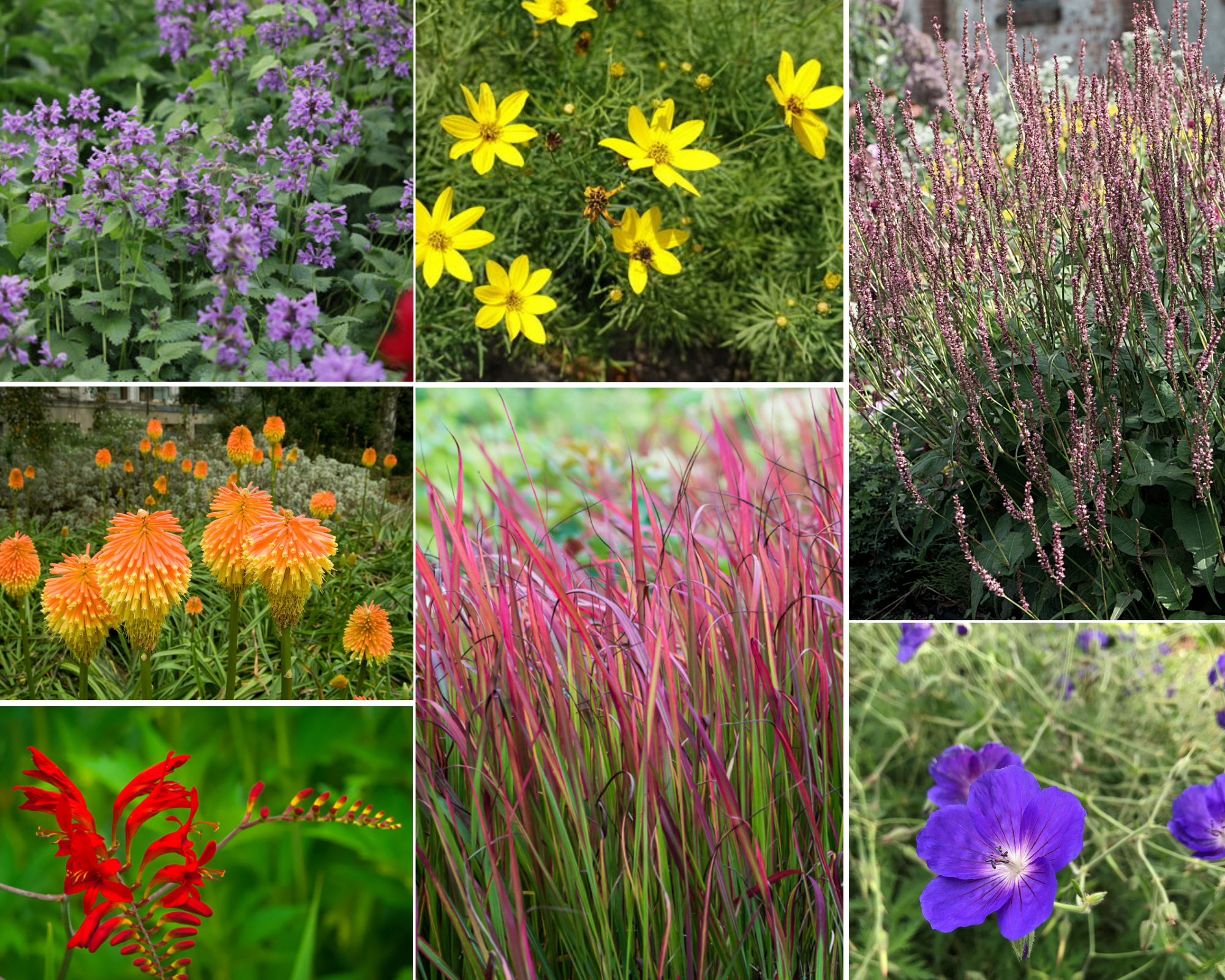 Borderpakket - Bont - 3 m2