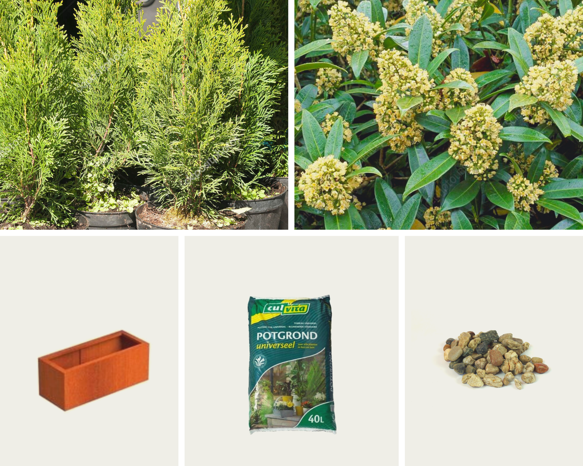 Gevulde plantenbak - Ivara Plantenbak Cortenstaal (L)100 x (B)40 x (H)40 cm