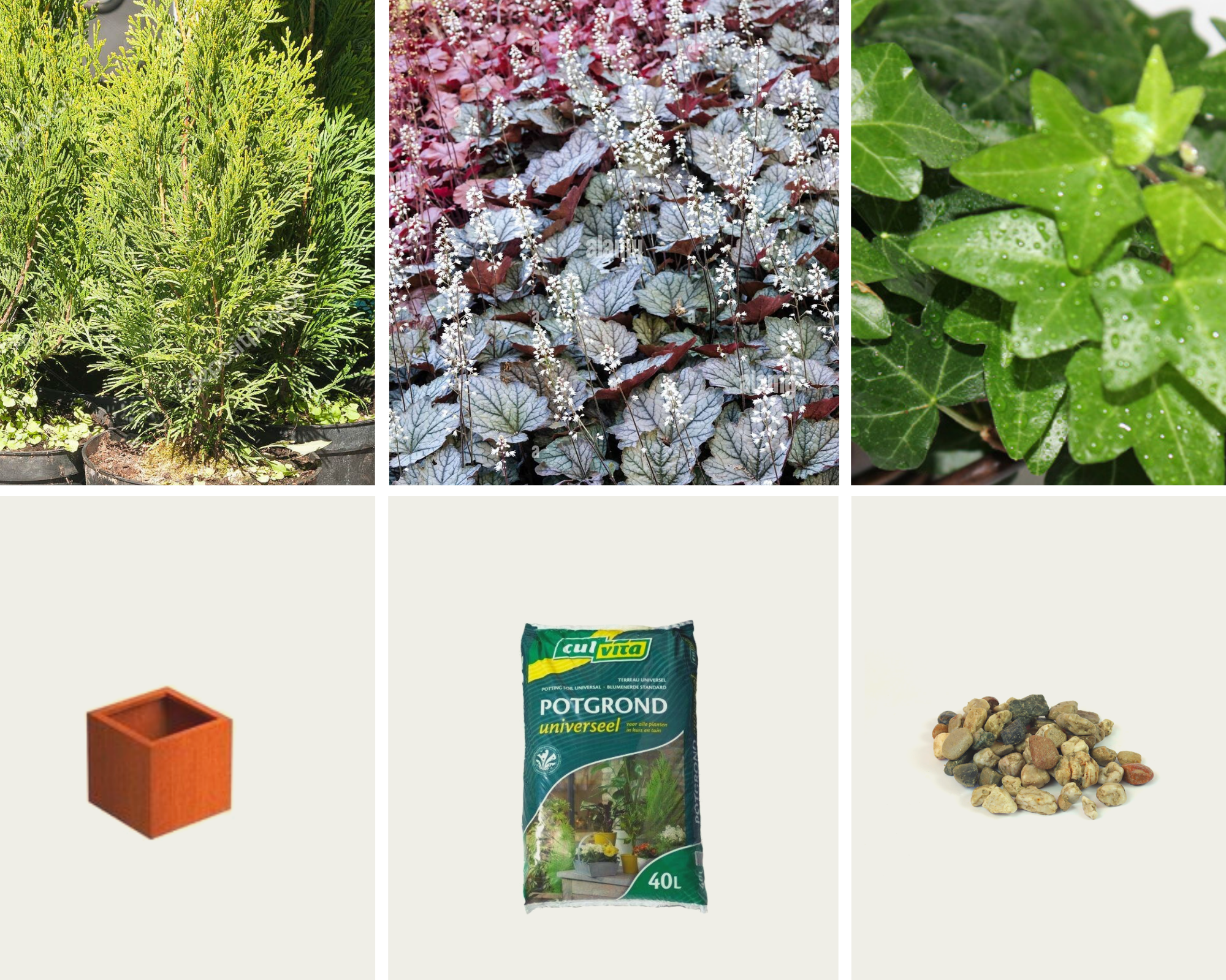 Gevulde plantenbak - Luxor Plantenbak Cortenstaal (L)50 x (B)50 x (H)50 cm