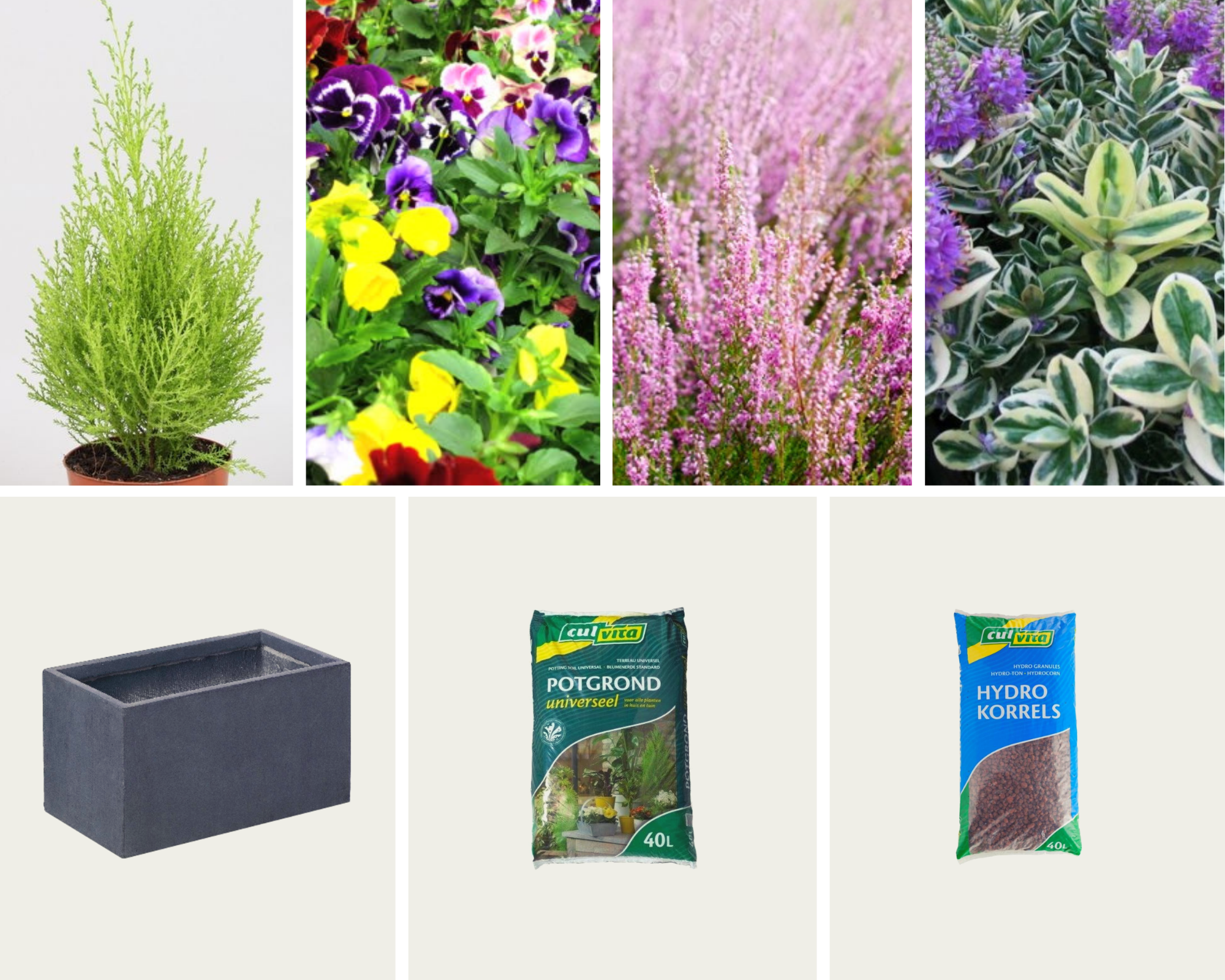 Gevulde plantenbak - Falcon plantenbak antraciet (L)99 x (B)46 x (H)46 cm