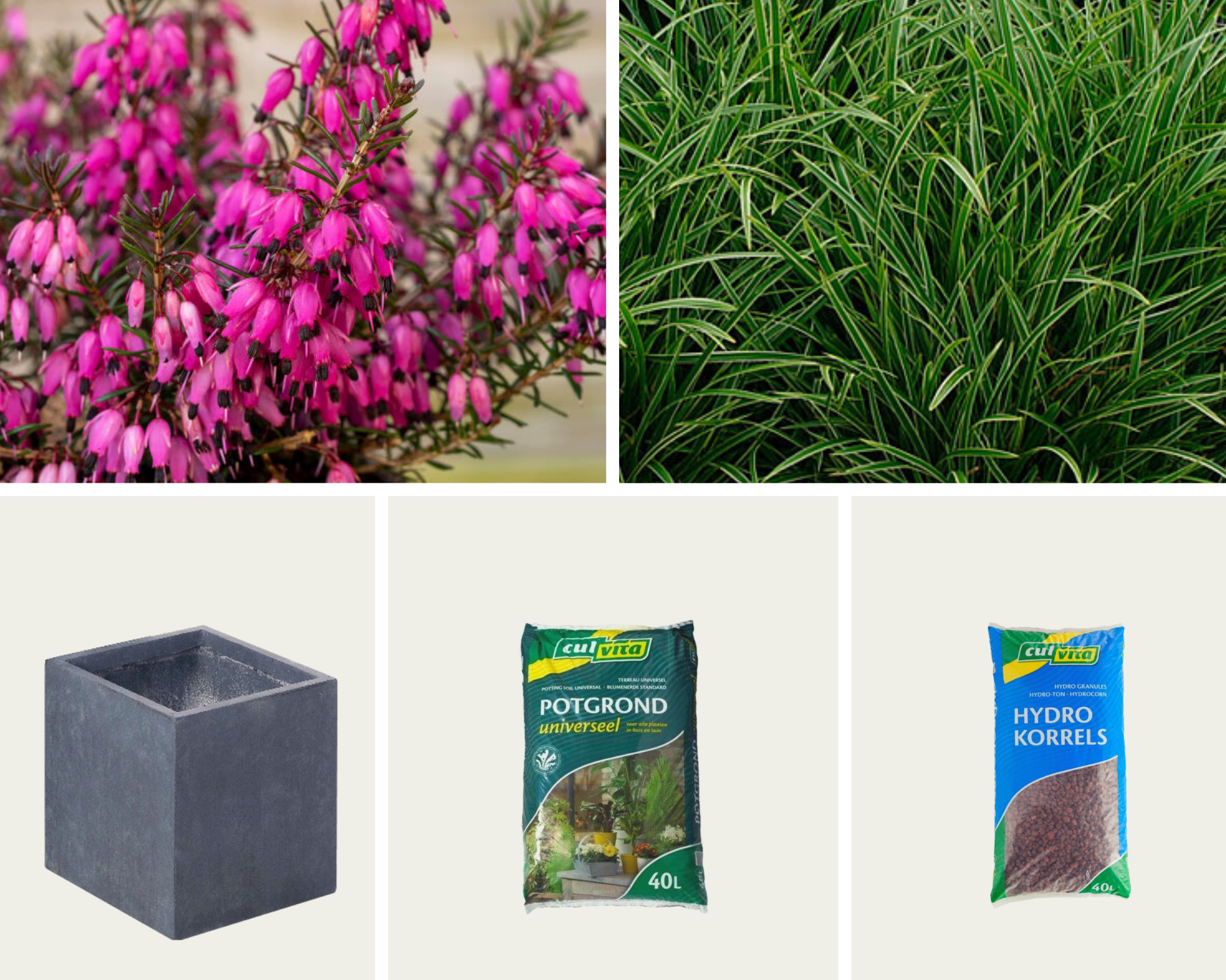 Gevulde plantebak - Luxor plantenbak antraciet (L)50 x (B)50 x (H)50 cm