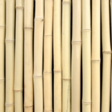 Bamboescherm houten frame - 180 x 180 cm - Naturel