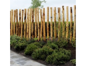 Kastanjepaal | 120-250 cm | 6-8 cm doorsnee | Geschild