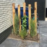 Kastanjepaal | 120-250 cm | 6-8 cm doorsnee | Geschild