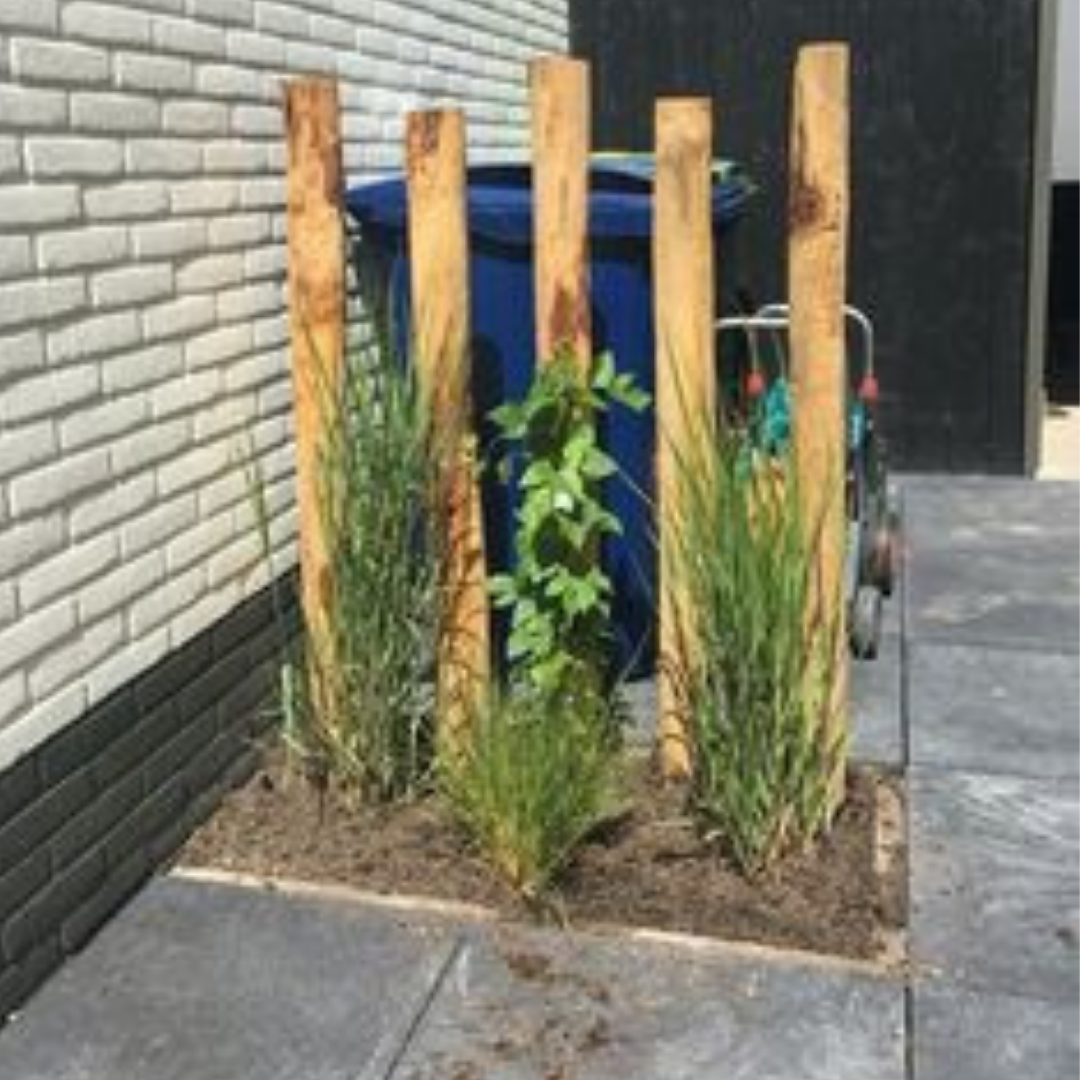 Kastanje Paal - 160 tot 300 cm