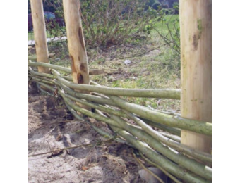 Wilgenteen - creëer jouw eigen afscheiding