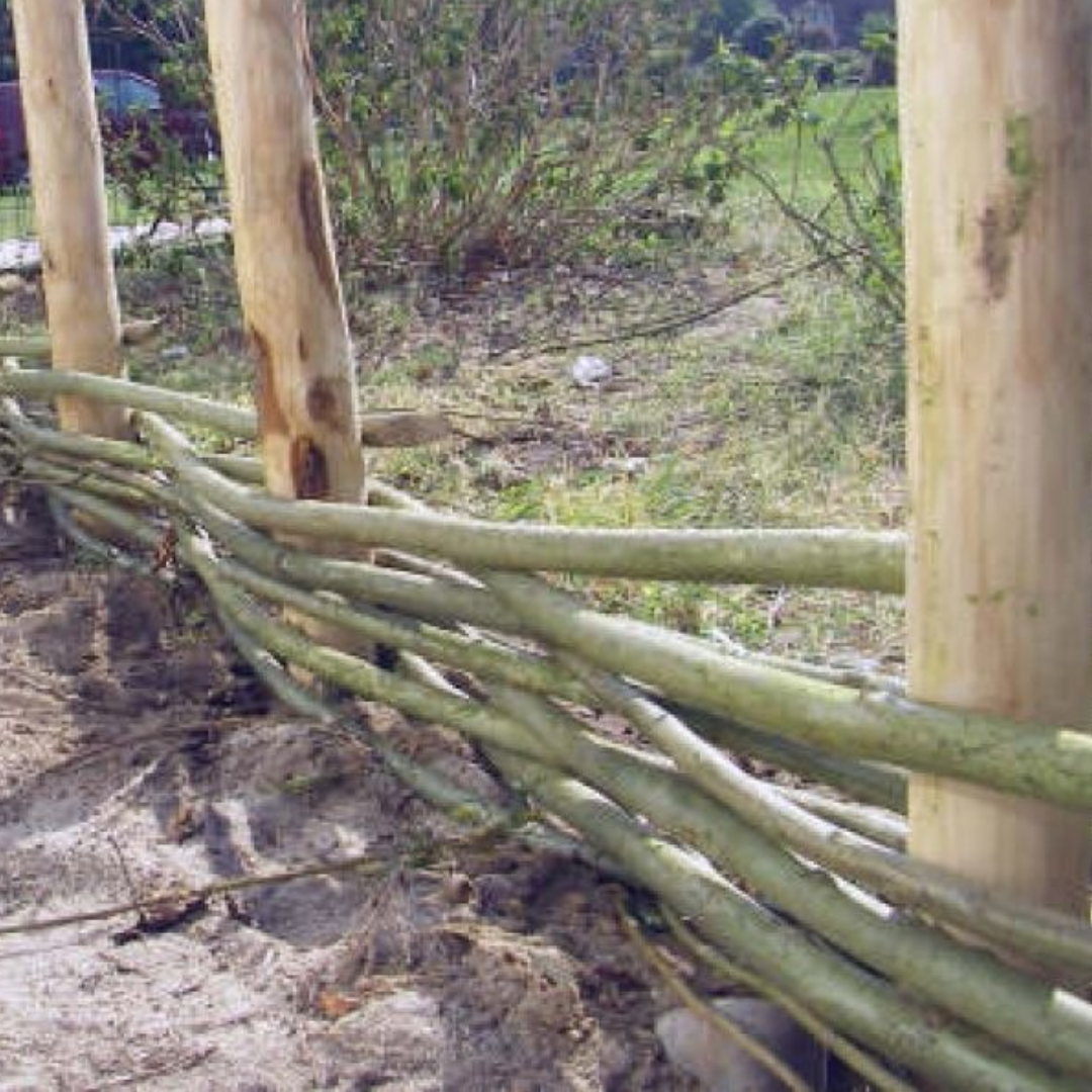 Wilgenteen - creëer jouw eigen afscheiding