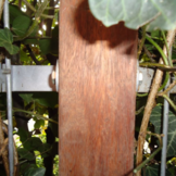 Beugels t.b.v. hardhouten paal