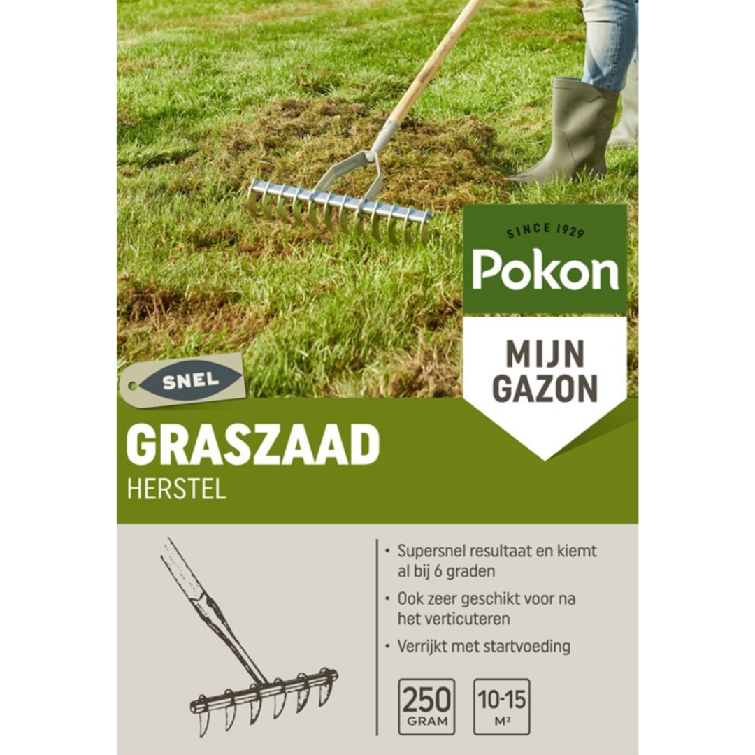 Pokon graszaad herstel