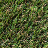 Kunstgras Splendid  40