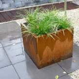 Luxor Plantenbak Cortenstaal (L)60 x (B)60 x (H)60 cm