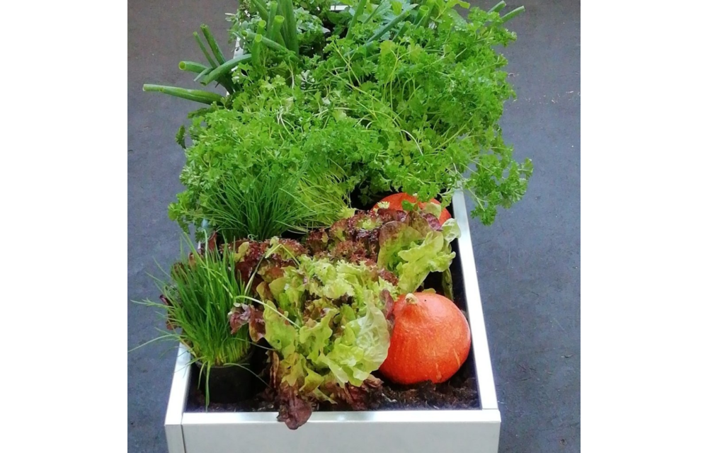 Grönfeld moestuinbak metaal - div. maten
