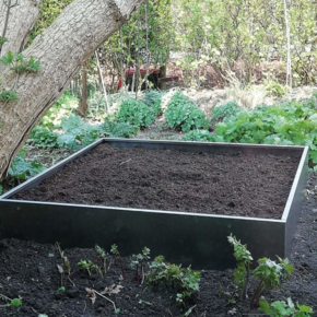Grönfeld moestuinbak metaal - div. maten