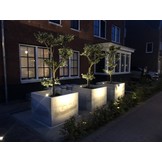 Olijfboom - Pom pon geknipte vormen