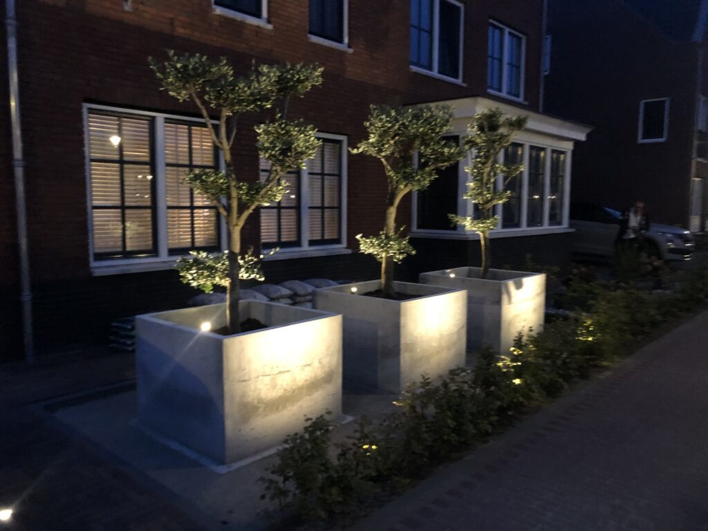 Olijfboom - Pom pon geknipte vormen