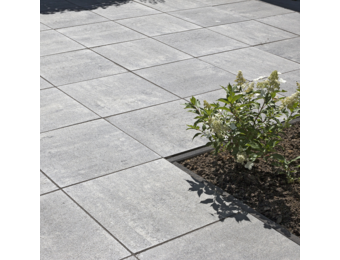 Eliton Supreme xxs Linea 60 x 60 x 4 cm - Amiata