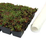 Sedumcassette | Per M2 | Incl. onderdoek