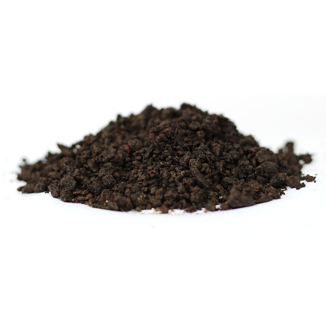 Sedummat | Per M2 | Incl. onderdoek, substraatkorrels en grindrand