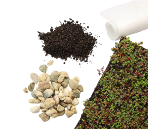 Sedummat | Per M2 | Incl. onderdoek, substraatkorrels en grindrand