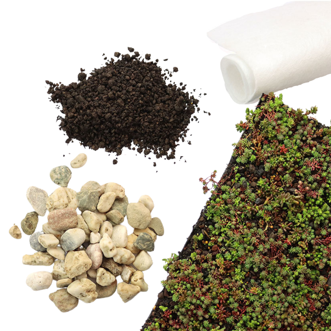 Sedummat | Per M2 | Incl. onderdoek, substraatkorrels en grindrand