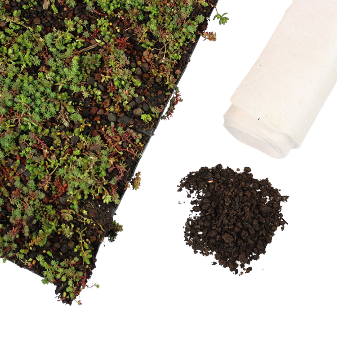 Sedummat | Per M2 | Incl. onderdoek en substraatkorrels