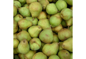 Perenboom - Pyrus Doyenn du Comice