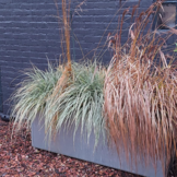 Grönfeld plantenbak op wielen gegalvaniseerd - Hoogte 40 cm