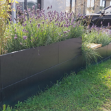 Grönfeld plantenbak op wielen zwart - Hoogte 40 cm