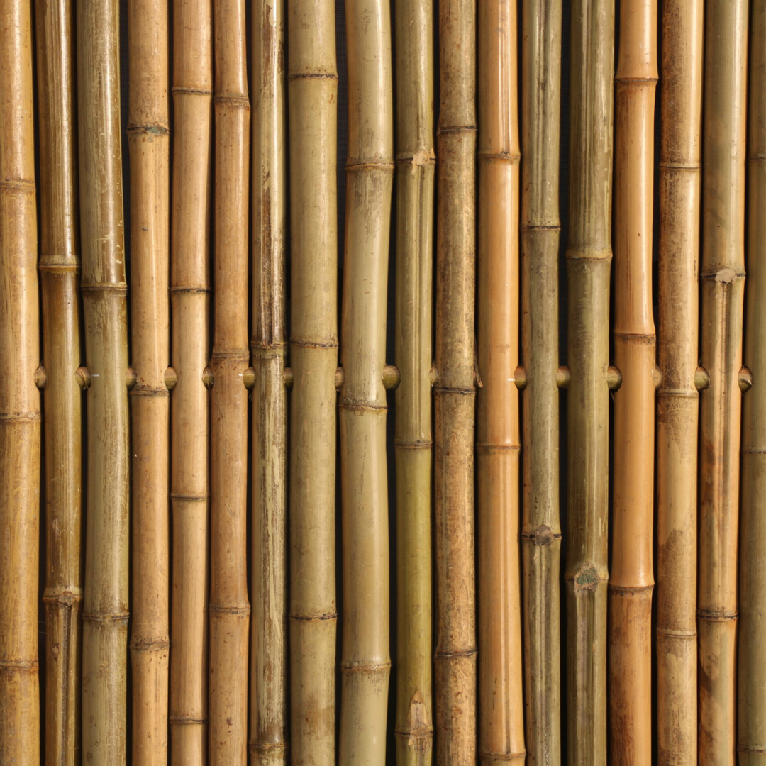 Bamboescherm 180 x 180 cm - Naturel