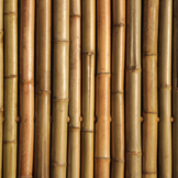 Bamboescherm 200 x 180 cm - Naturel -  Extra