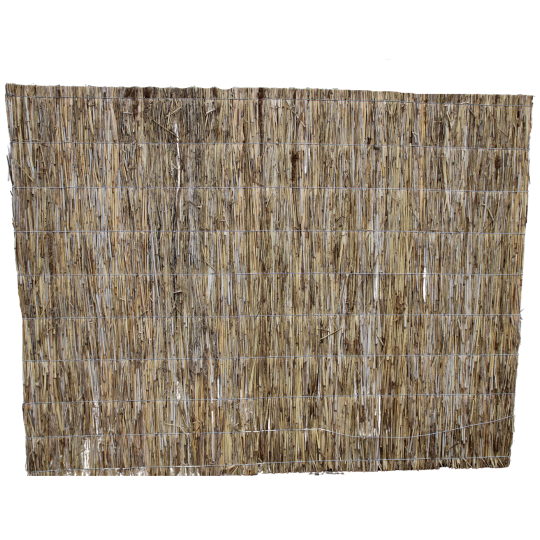 Rietmat 200 x 200 cm - Aruba