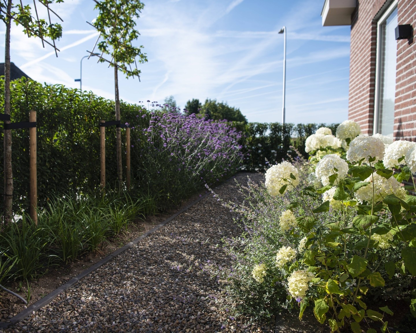 De verschillende soorten leibomen