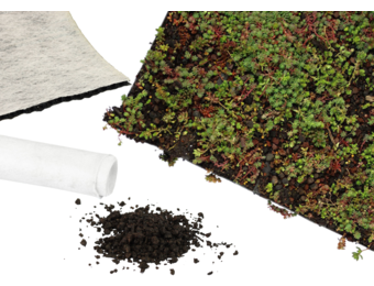 Sedummat | Per M2 | Incl. onderdoek, drainage, substraatkorrels en grindrand